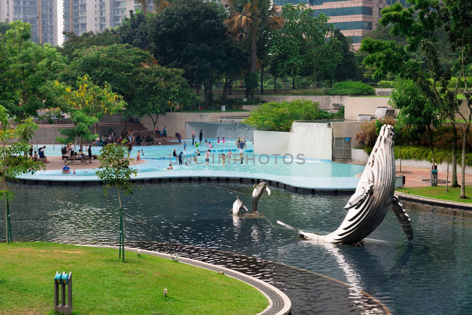 KUALA LUMPUR - JUN 15: Pool in KLCC Park is a public pool located near Petronal twin towers on Jun 15, 2013 in Kuala Lumpur, Malaysia. 20 hectares park was designed by Roberto Burle Marx in 1980.