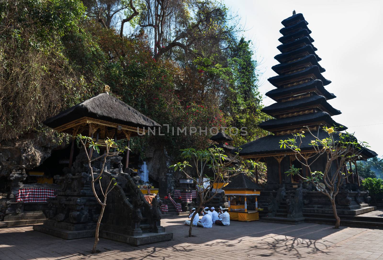 Sacred ceremony in Goa Lawah Bat Cave, Bali, Indonesia by iryna_rasko