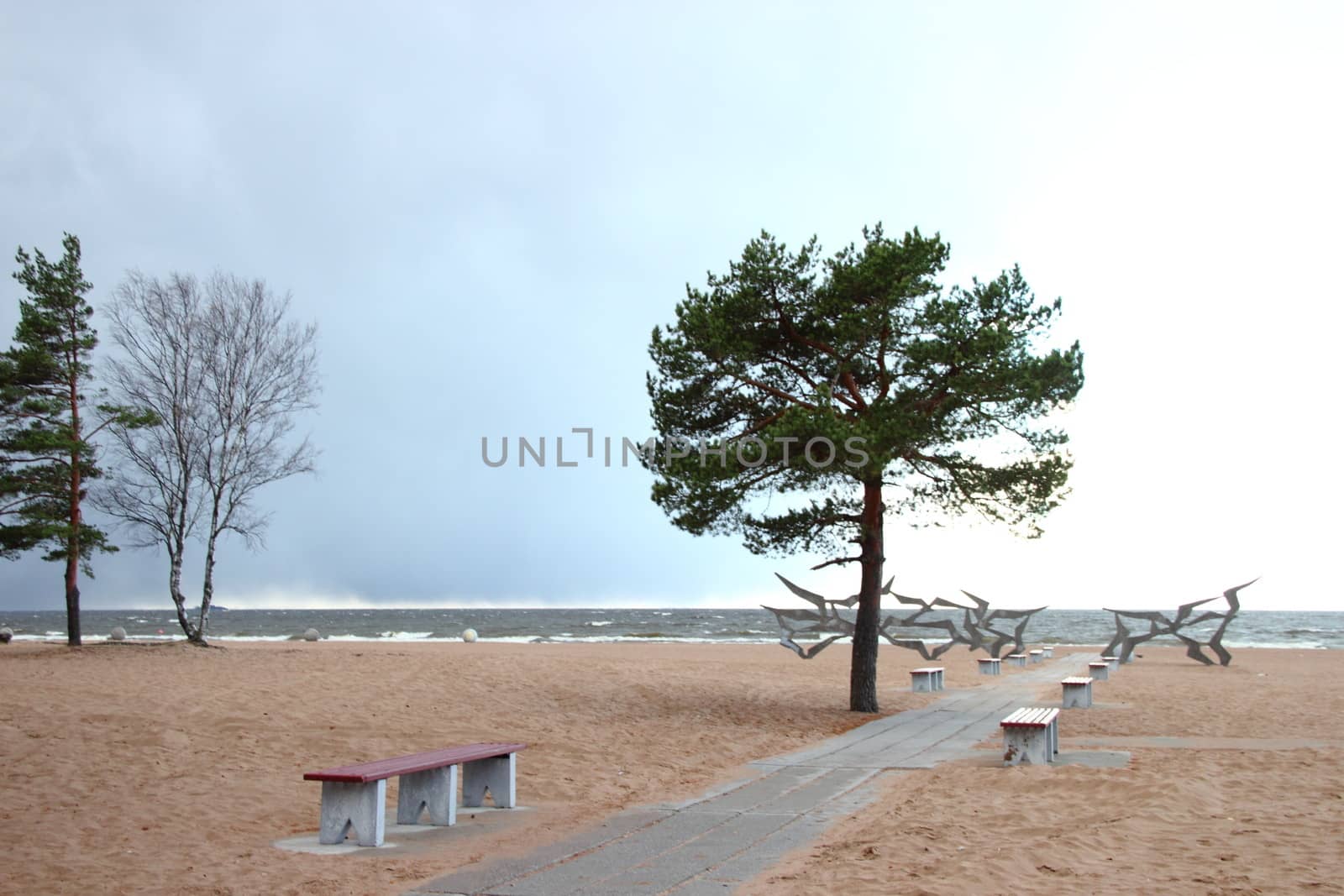 Autumn beach in St. Petersburg.  Gulf of Finland