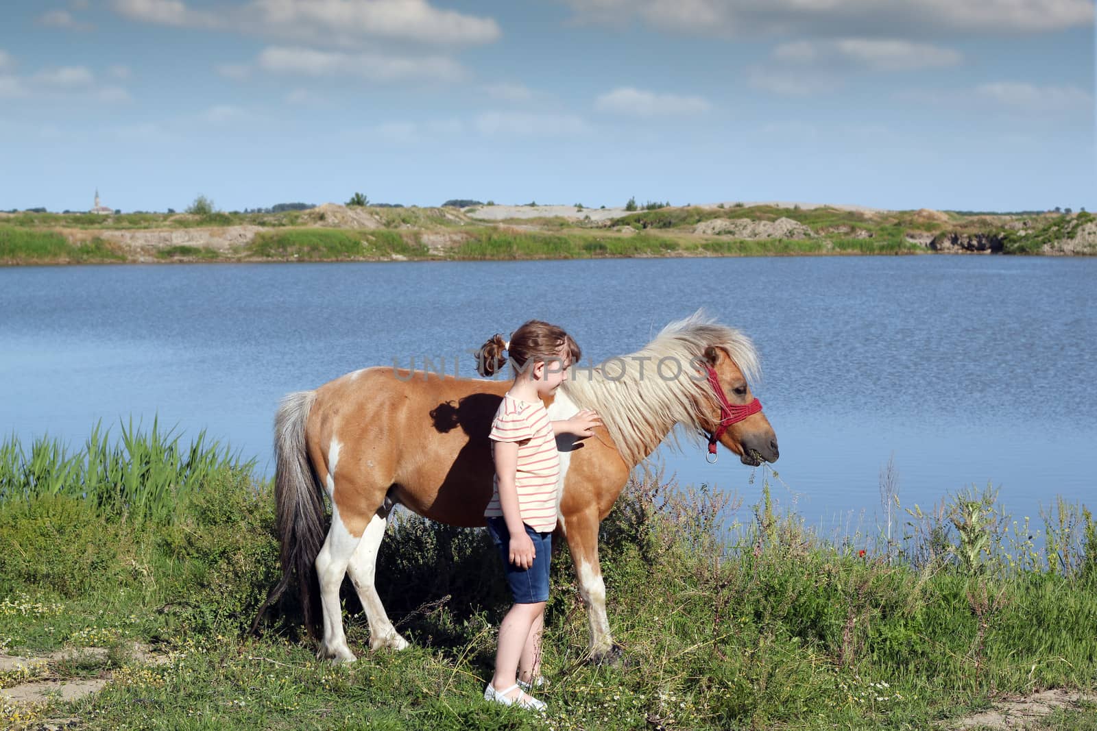 beautiful little girl with pony horse by goce