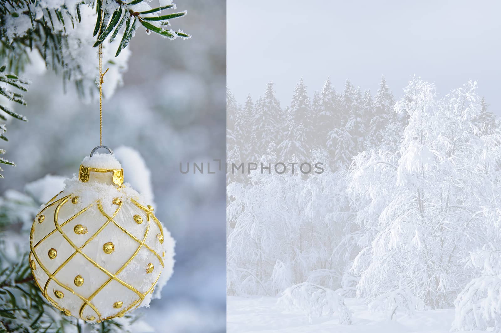 Christmas note with a snow covered ornament bulb hanging in a tre divided by a winter forest image.