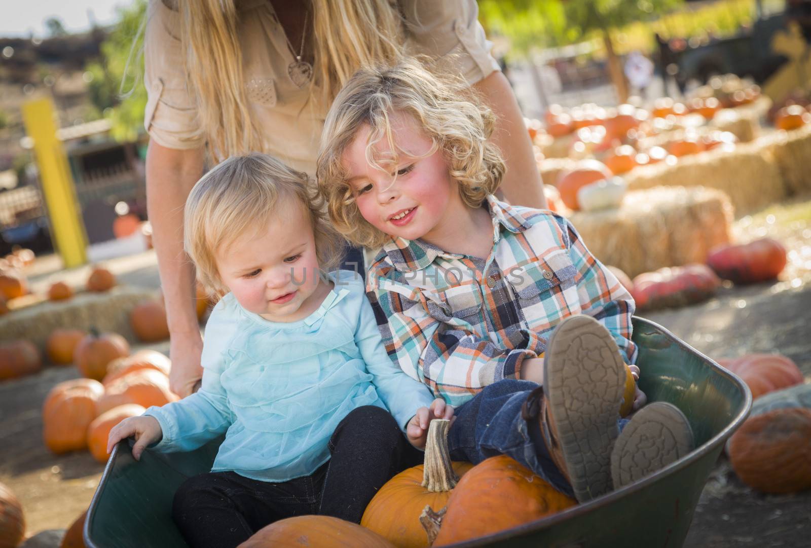 Adorable Young Family Enjoys a Day at the Pumpkin Patch.
