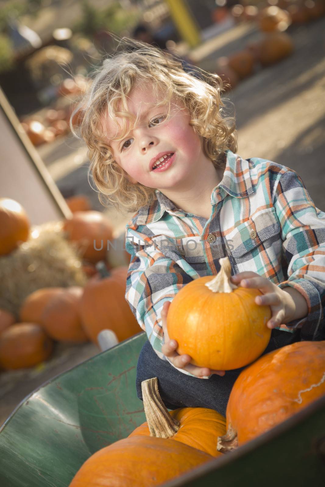 Little Boy Sitting and Holding His Pumpkin at Pumpkin Patch
 by Feverpitched