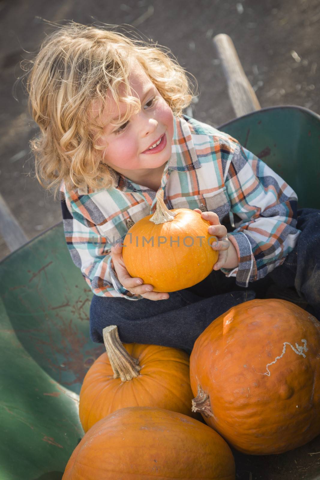 Little Boy Sitting and Holding His Pumpkin at Pumpkin Patch
 by Feverpitched