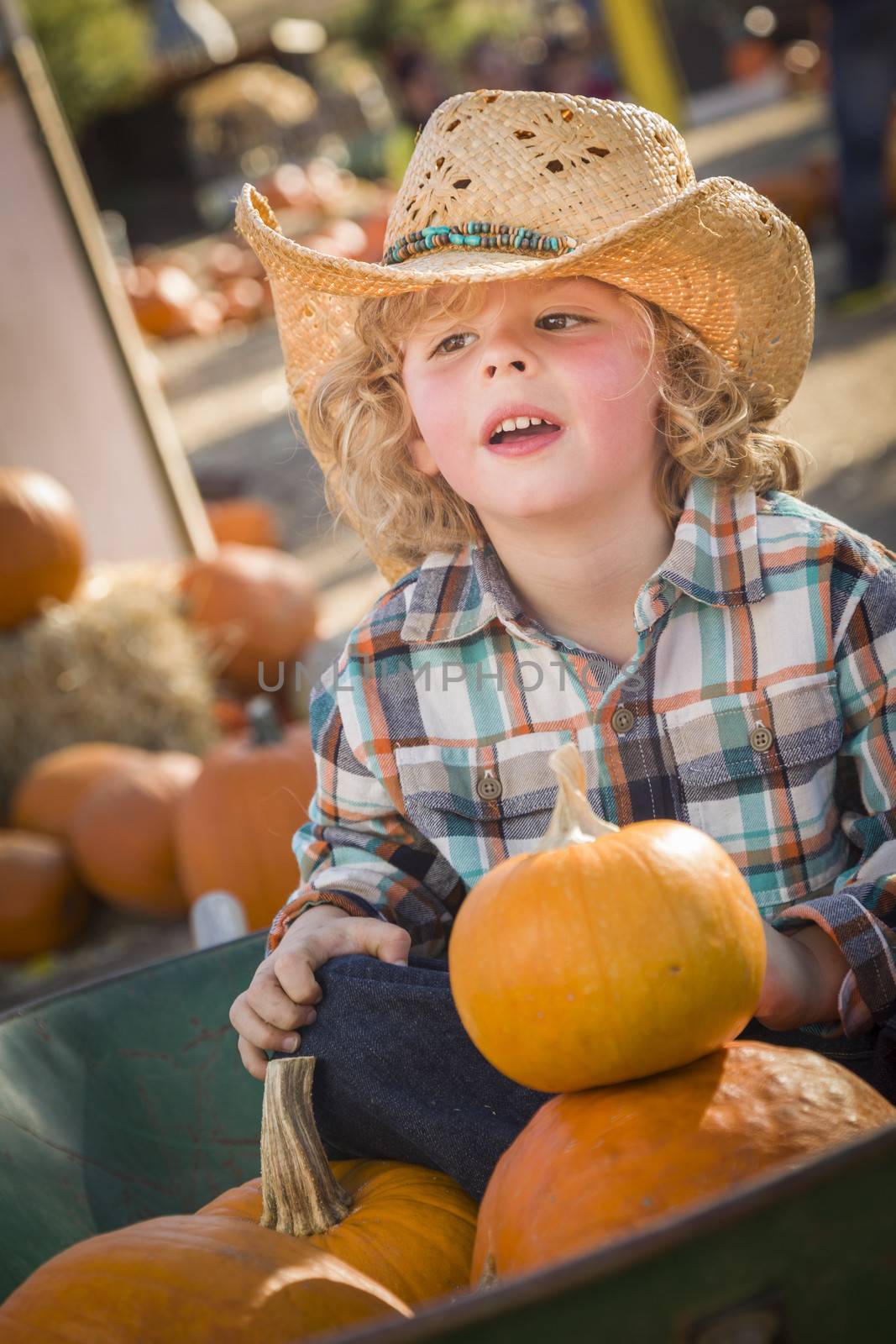 Little Boy in Cowboy Hat at Pumpkin Patch by Feverpitched