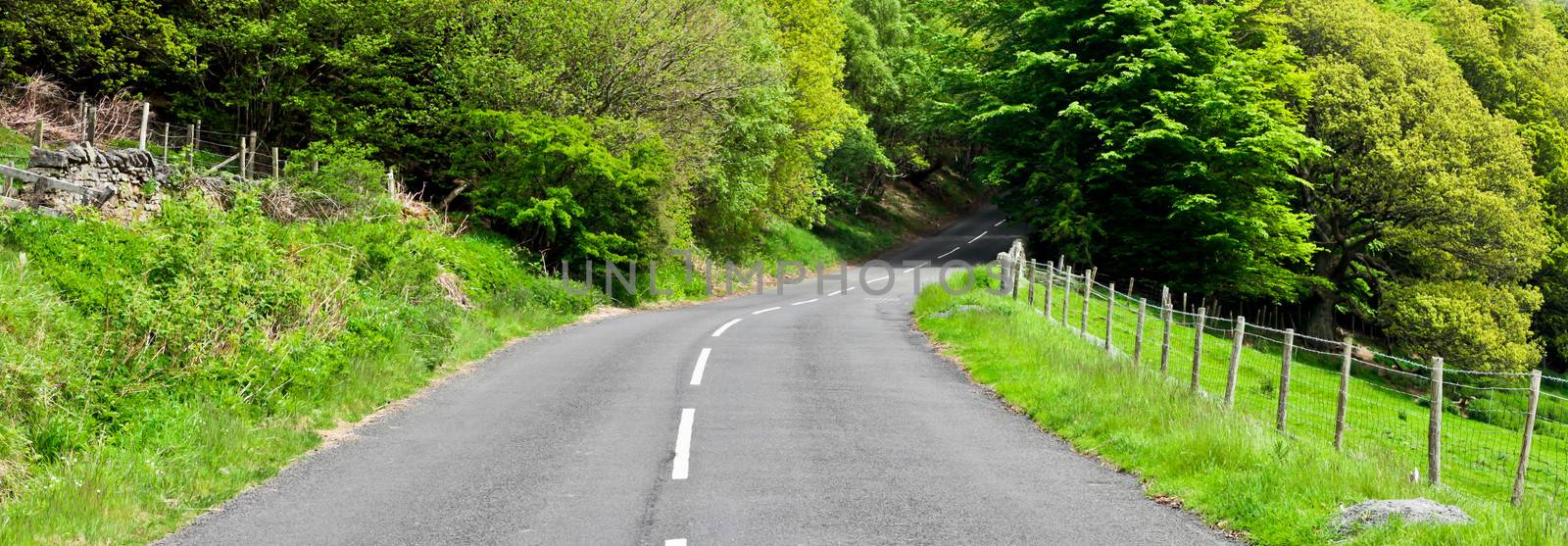 A winding rural road in Northumberland, England