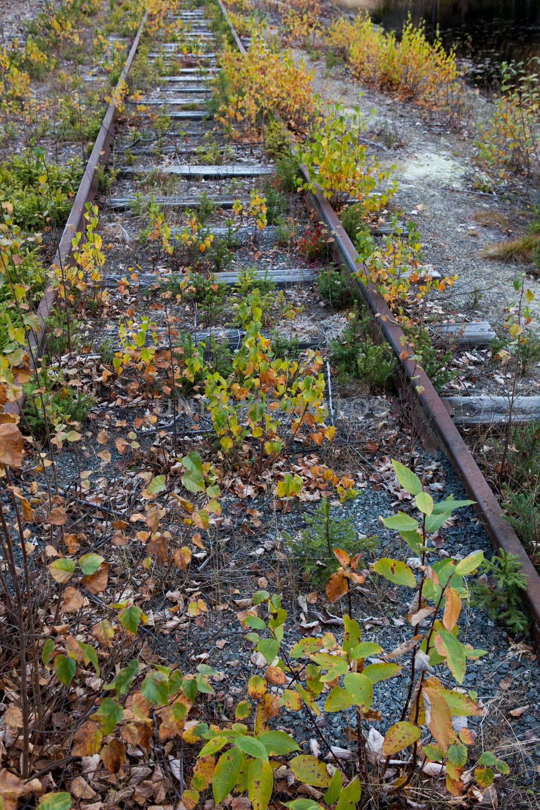 Old train tracks by SveinOttoJacobsen