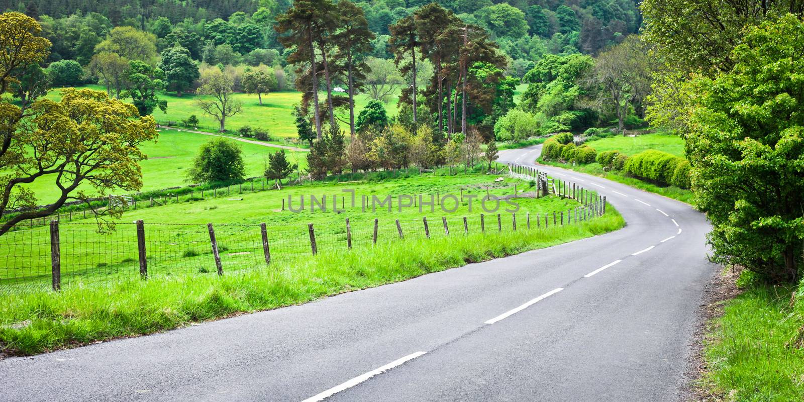 A winding rural road in Northumberland, England