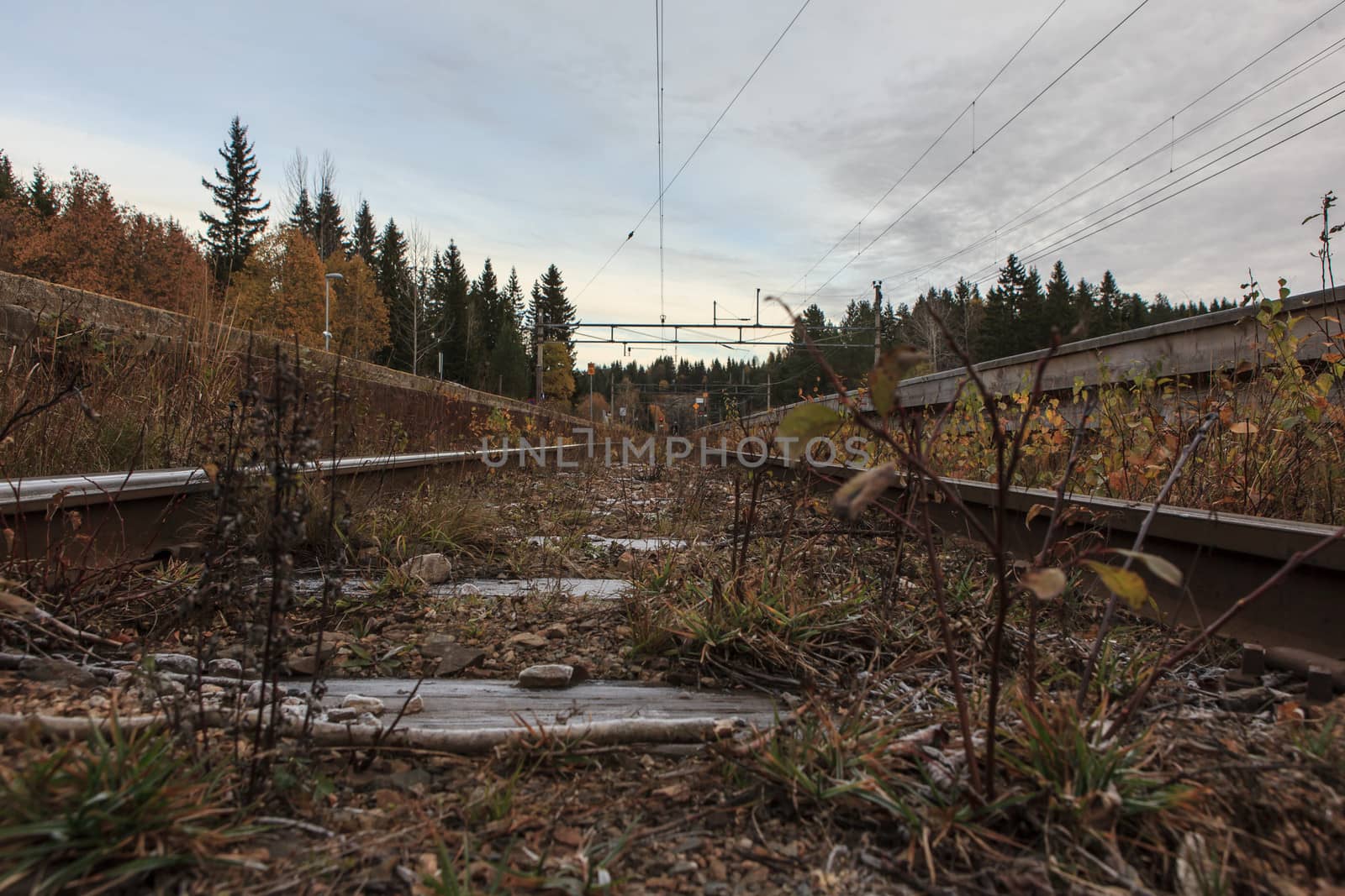 Old train tracks by SveinOttoJacobsen