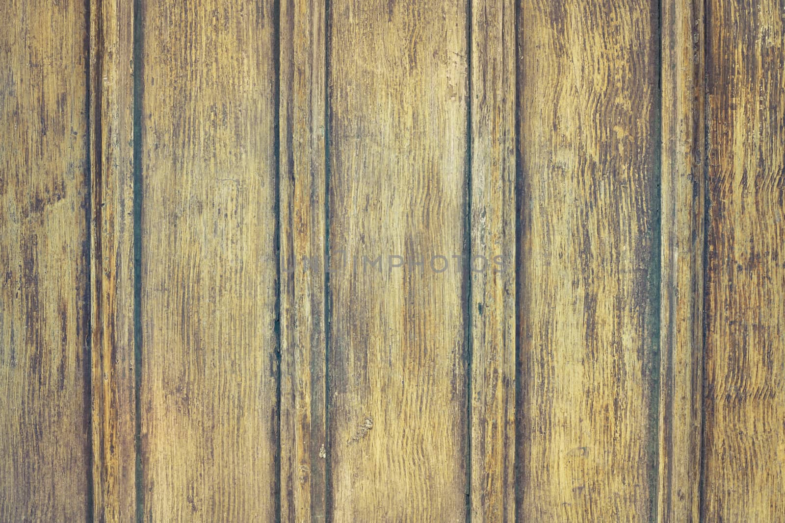 Close up of an aged wooden door as a background