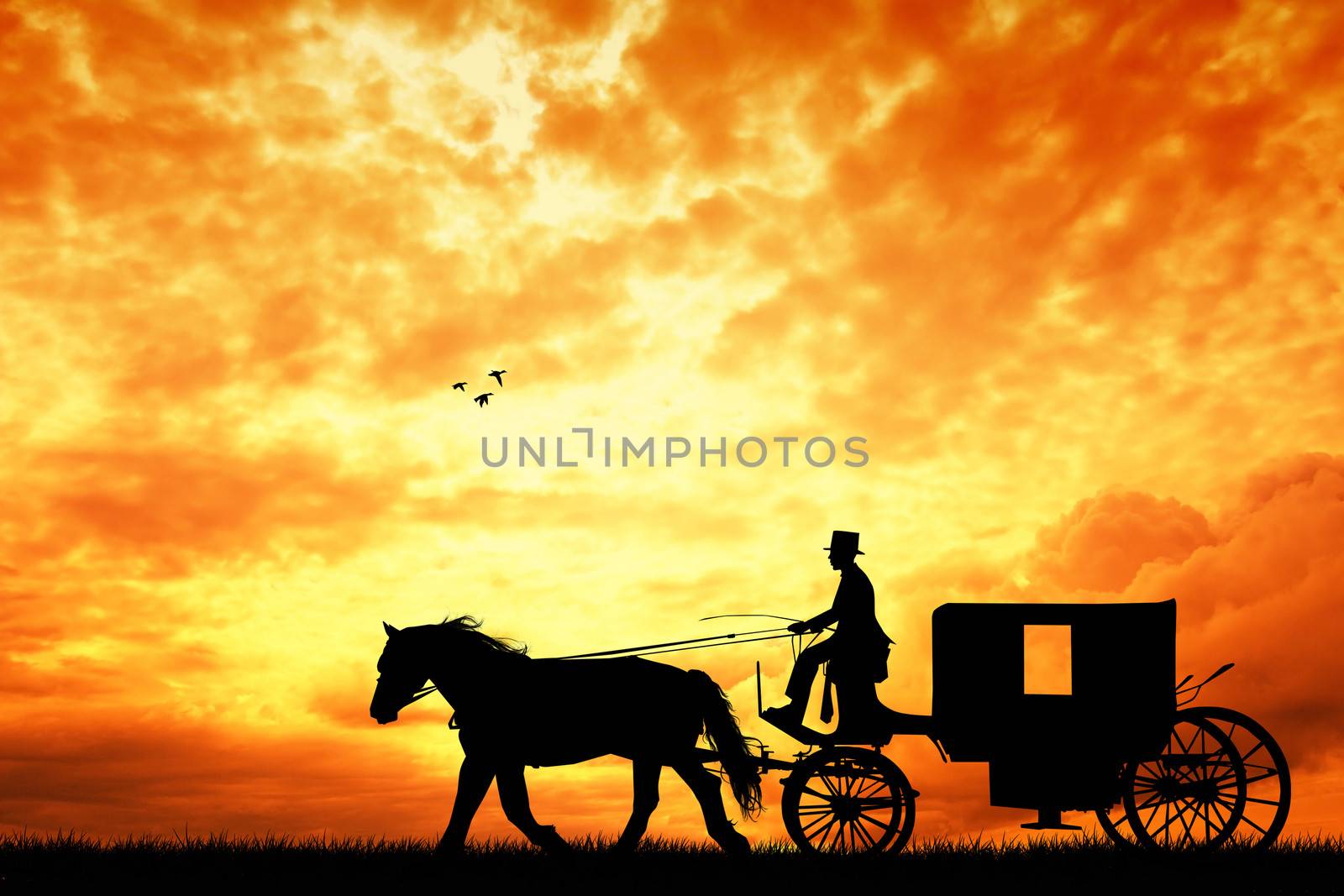 Carriage ride silhouette