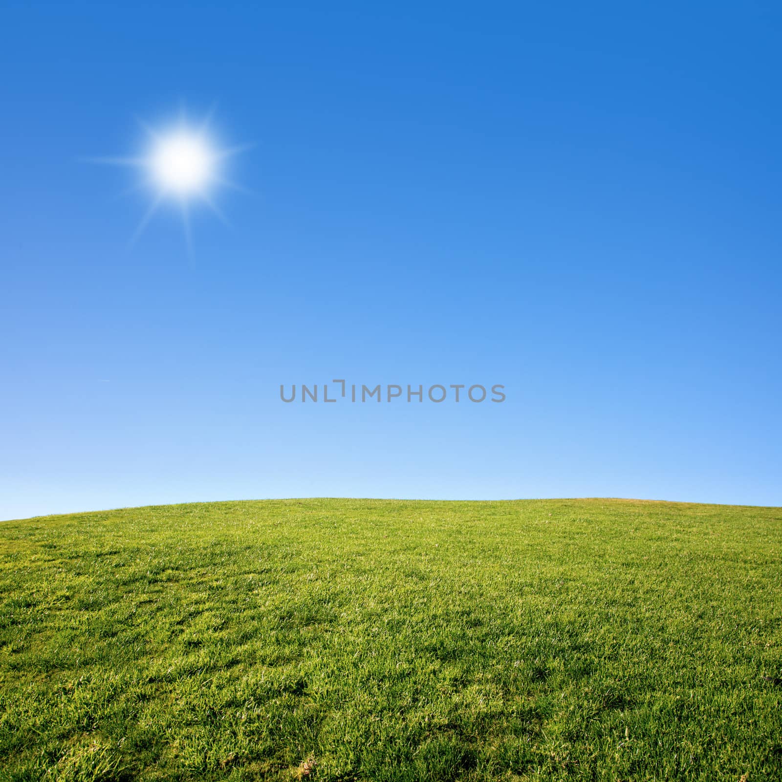 Photo of a green grass field with deep blue sky on a sunny day