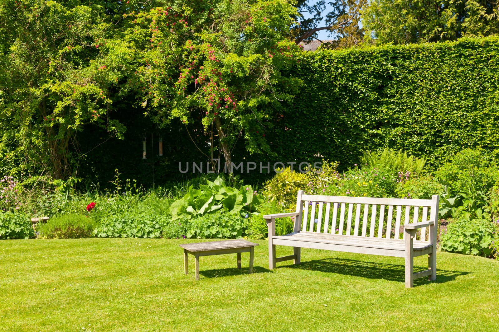 Garden bench by naumoid