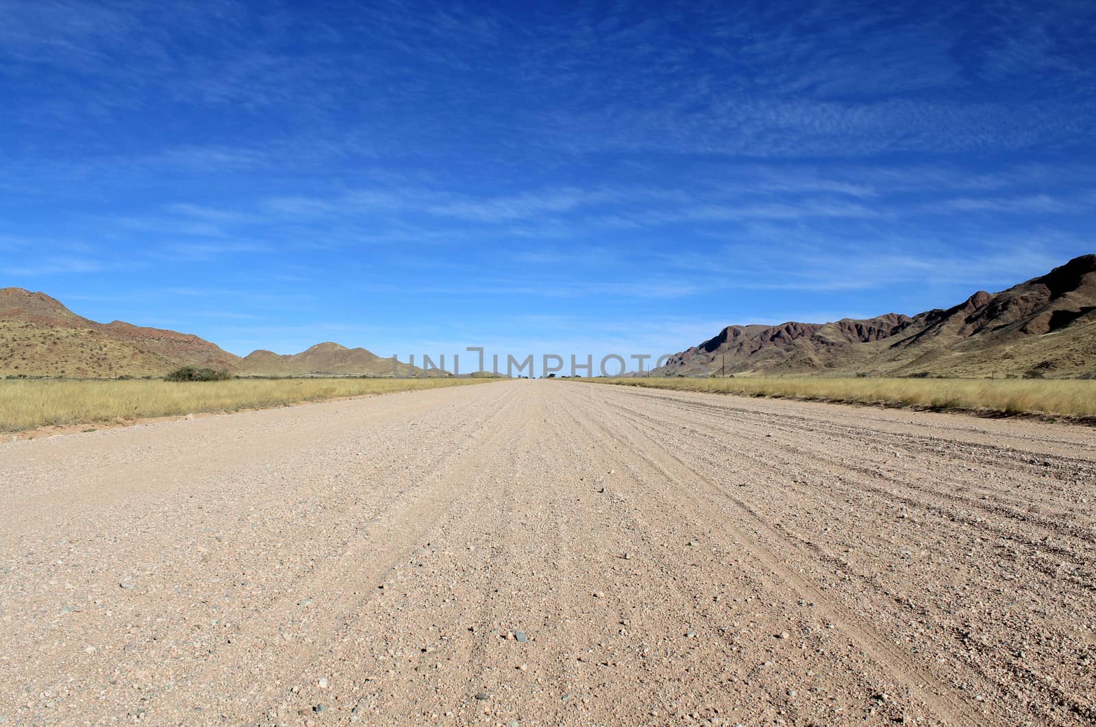 Grassy Savannah with mountains in background, Namib desert road  by ptxgarfield