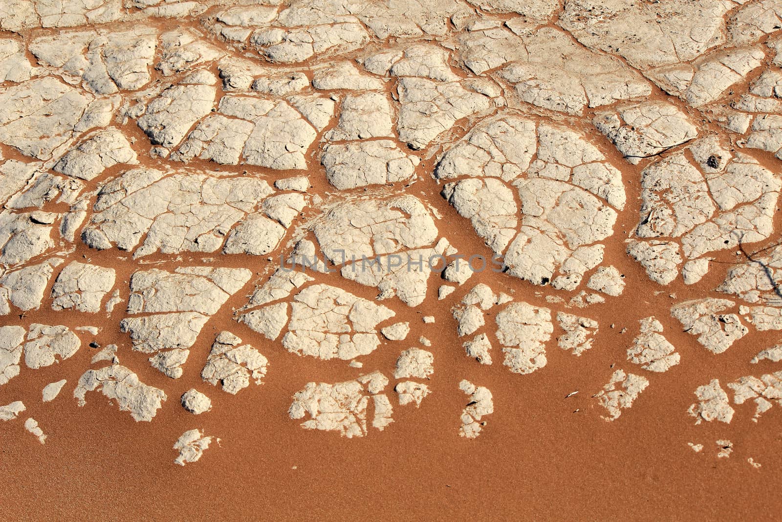 Soil detail of a dry pan, in the Sossusvlei sand dunes, Namib de by ptxgarfield