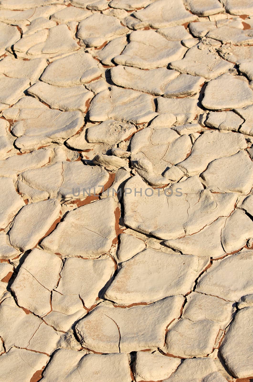 Soil detail of a dry pan, in the Sossusvlei sand dunes, Namib desert. Namibia