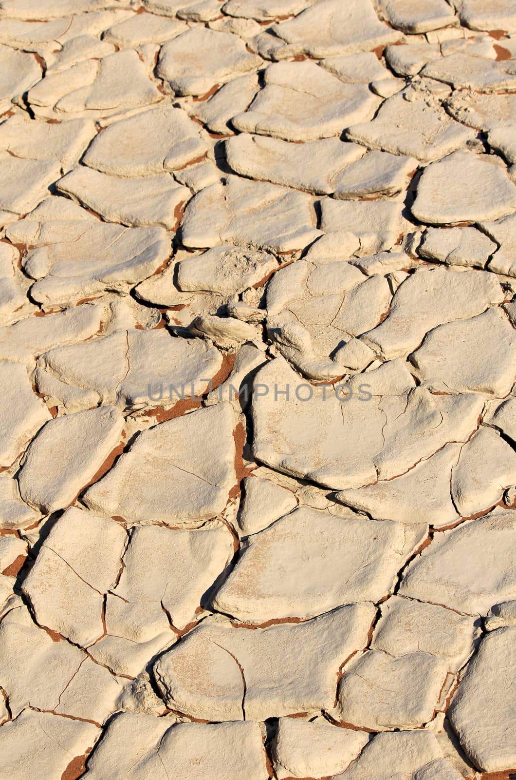 Soil detail of a dry pan, in the Sossusvlei sand dunes, Namib de by ptxgarfield