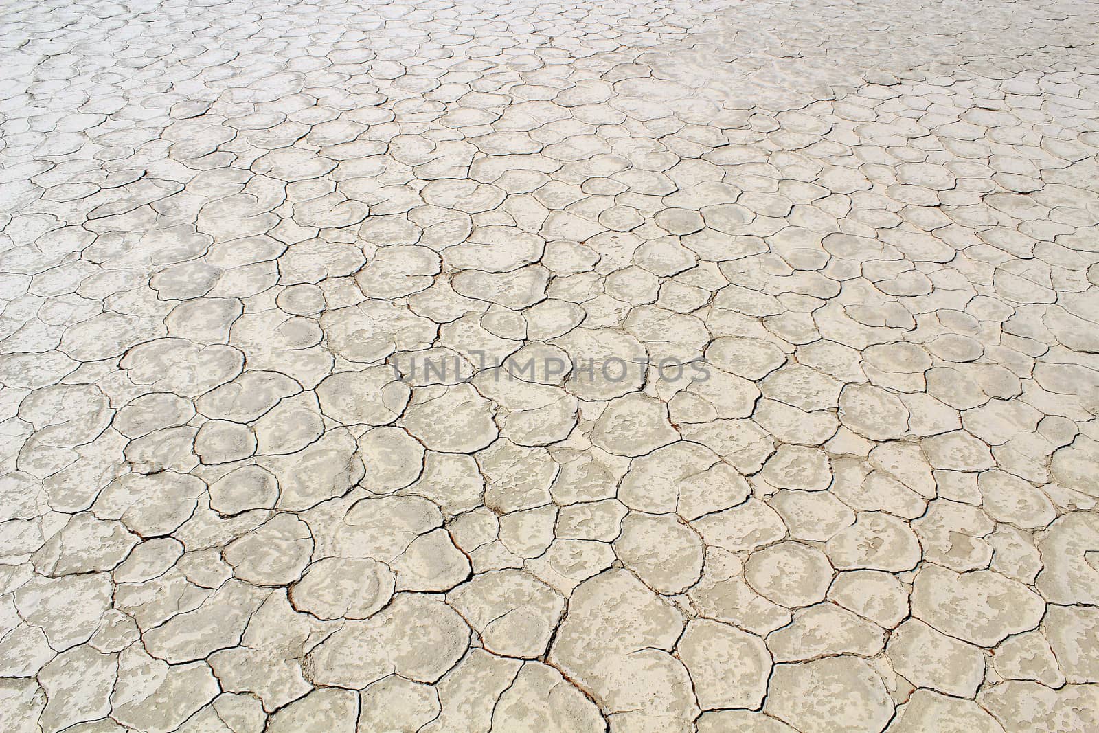 Soil detail of a dry pan, in the Sossusvlei sand dunes, Namib desert. Namibia