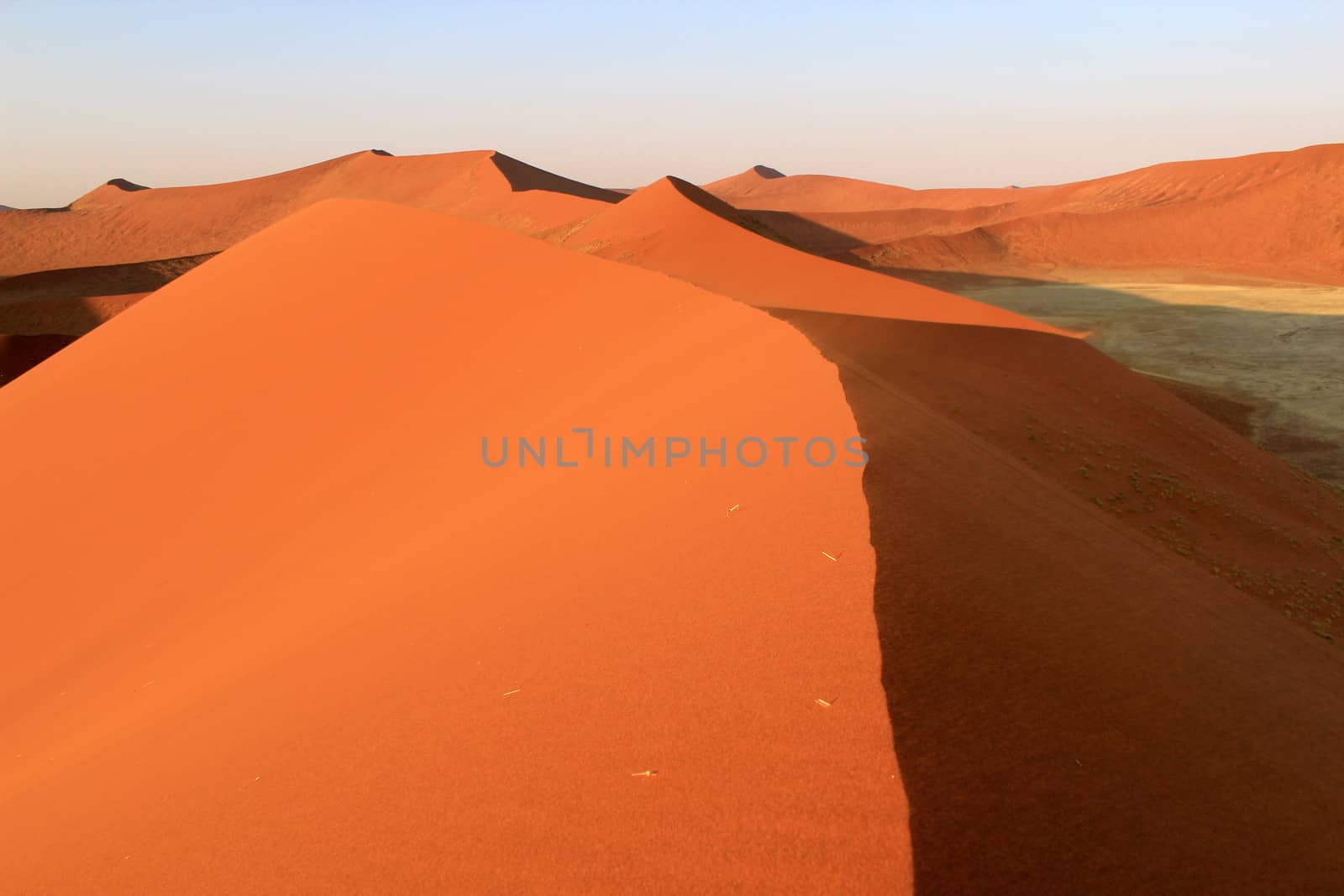 Sossusvlei sand dunes landscape in the Nanib desert near Sesriem, Namibia 