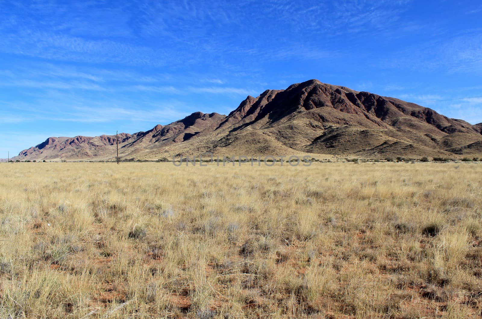 Grassy Savannah with mountains in background, Namib Naukluft Par by ptxgarfield
