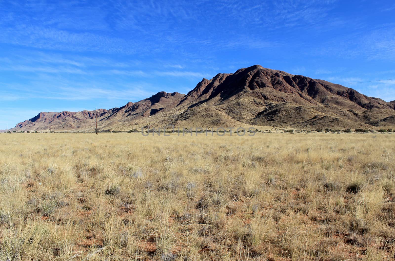 Grassy Savannah with mountains in background, Namib Naukluft Park. Namibia