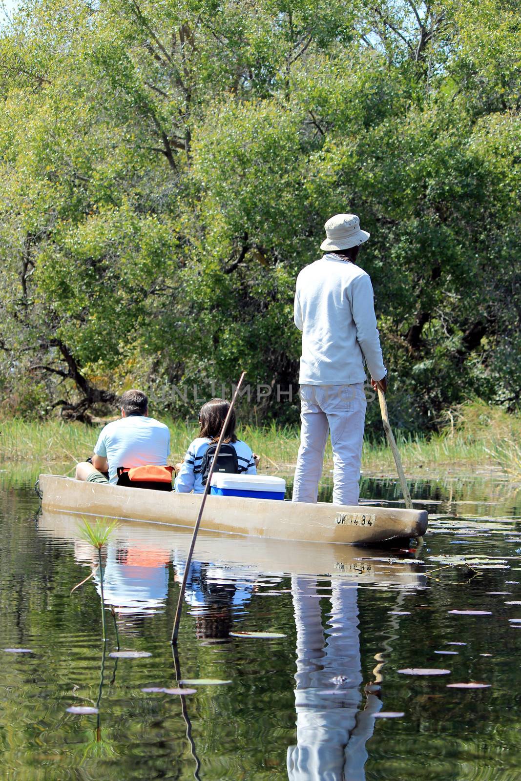 Ride in a traditional Okavango Delta mokoro canoe, through the reed covered water. North of Botswana.
