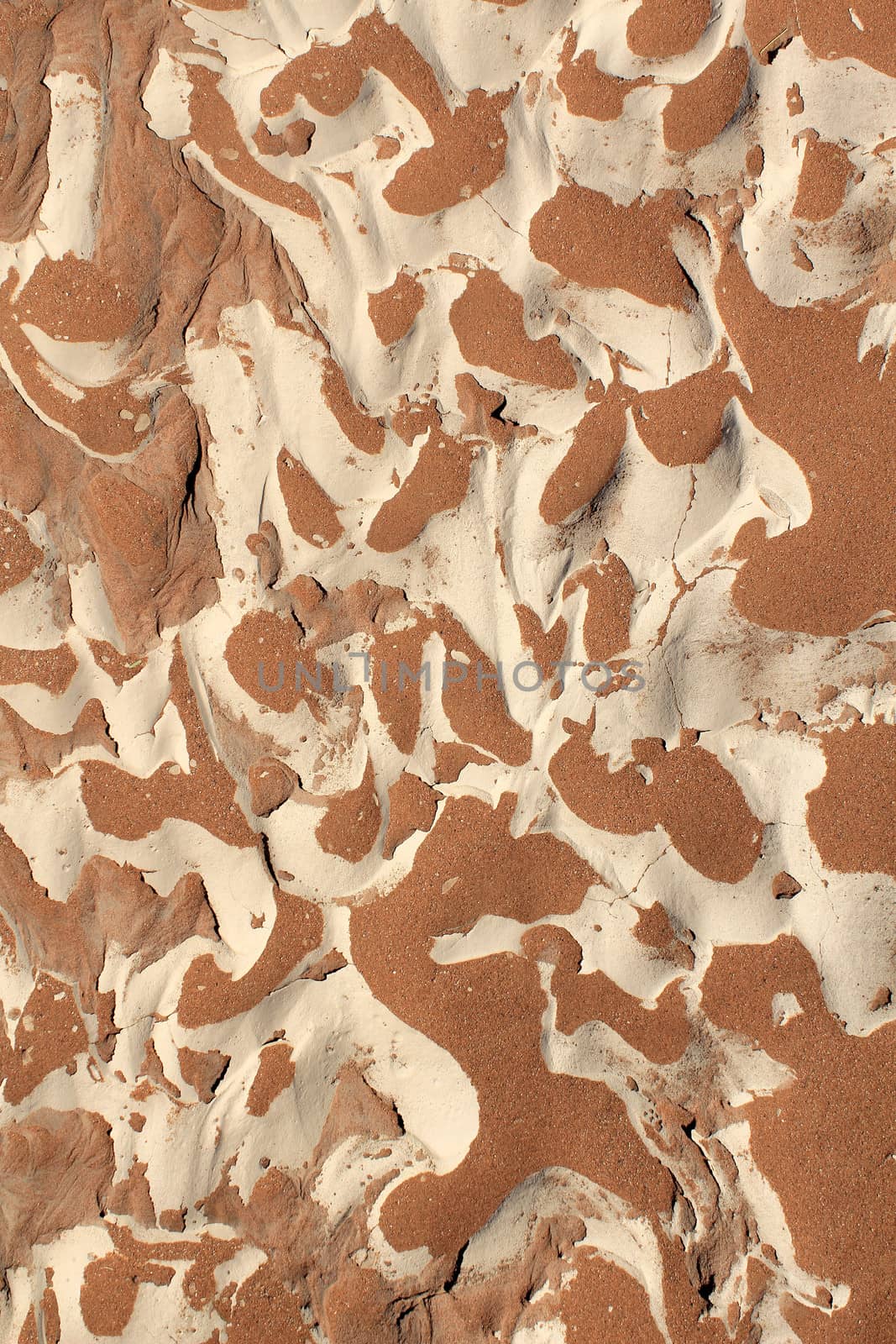 Soil detail of a dry pan, in the Sossusvlei sand dunes, Namib desert. Namibia