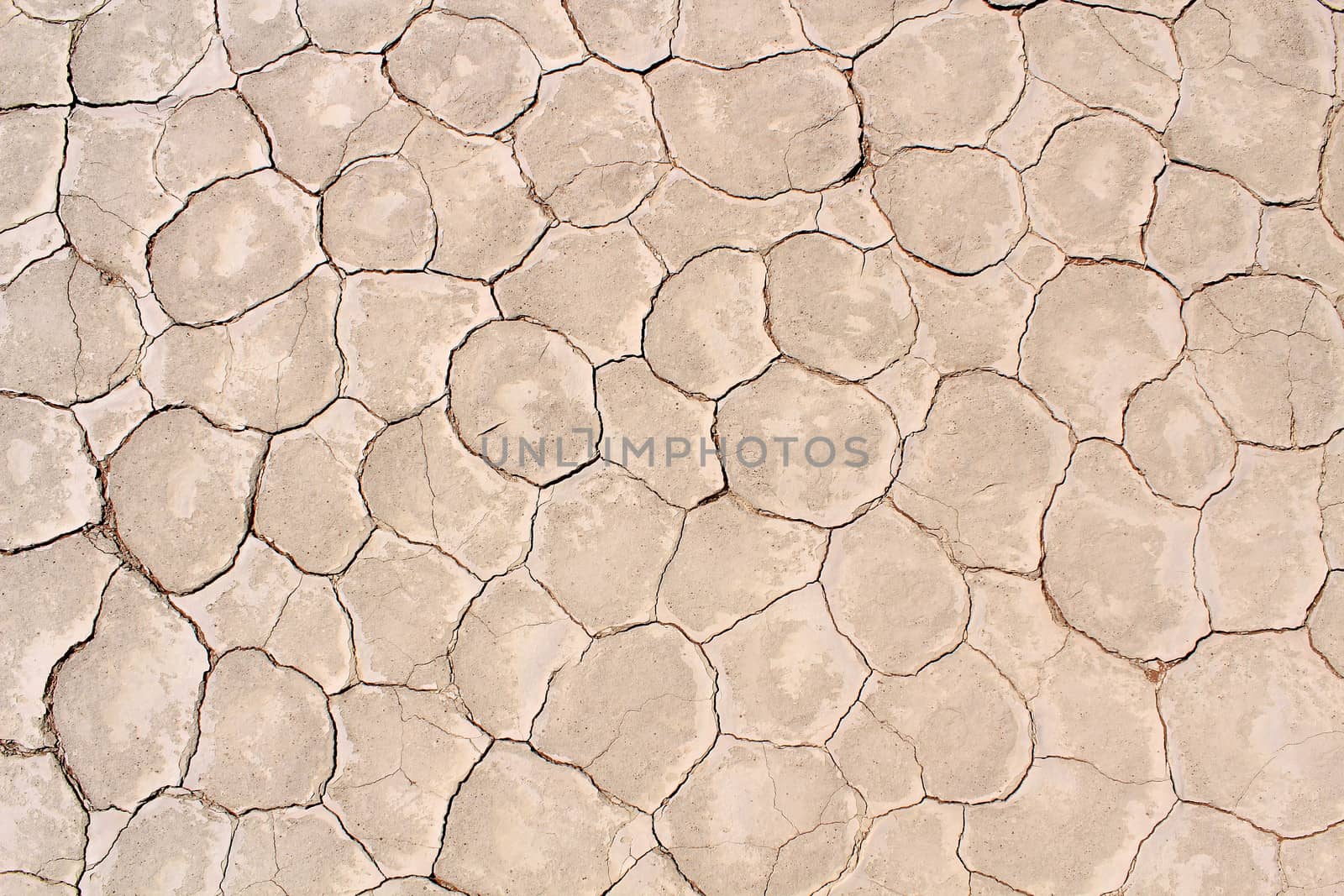 Soil detail of a dry pan, in the Sossusvlei sand dunes, Namib desert. Namibia