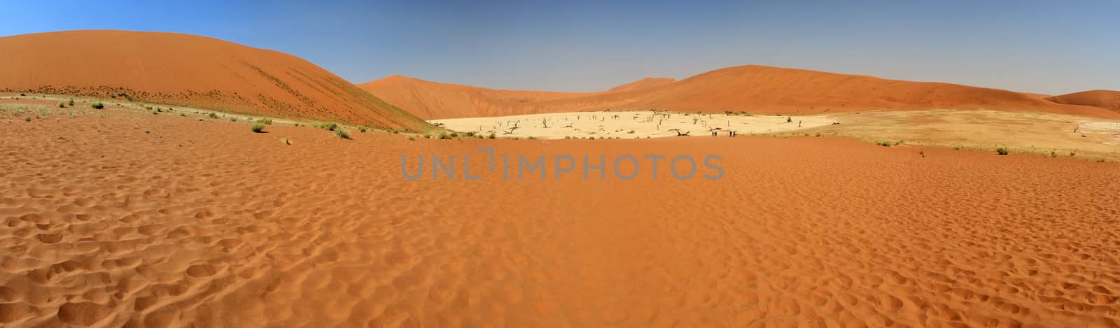 Sossusvlei dead valley landscape in the Nanib desert near Sesriem, Namibia 