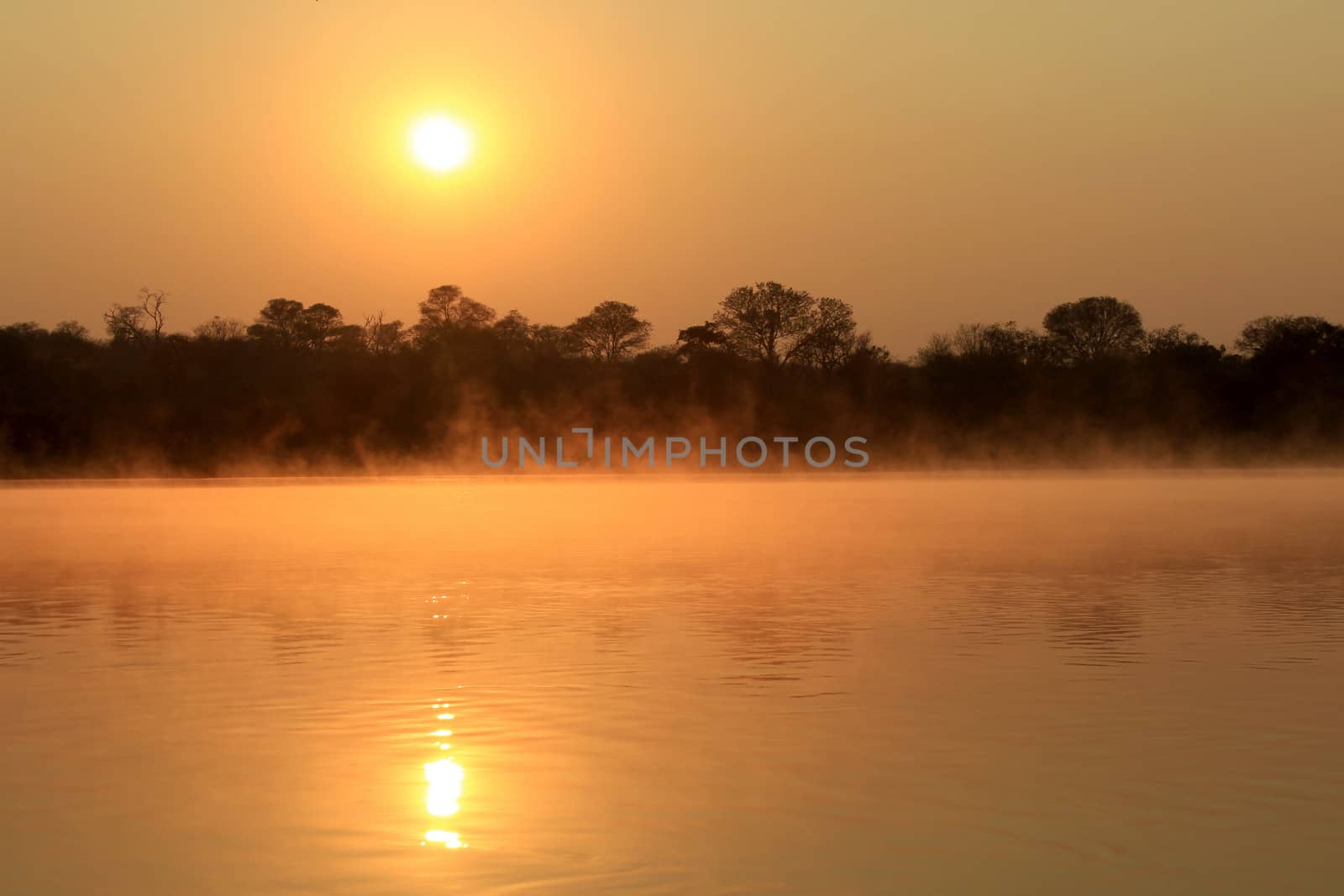 Sunrise at Kavango river whit mist on the water surface, Caprivi region. Namibia