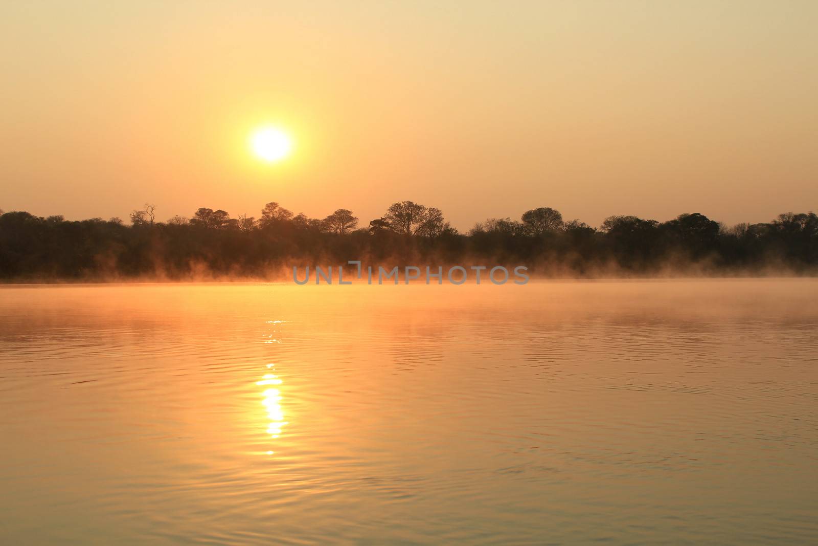 Sunrise at Kavango river whit mist on the water surface, Caprivi region. Namibia