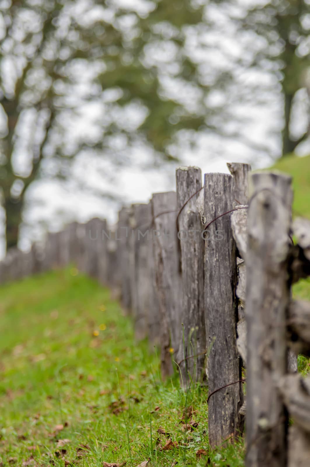 Rustic home made split rail fence in the mountains of North Caro by digidreamgrafix