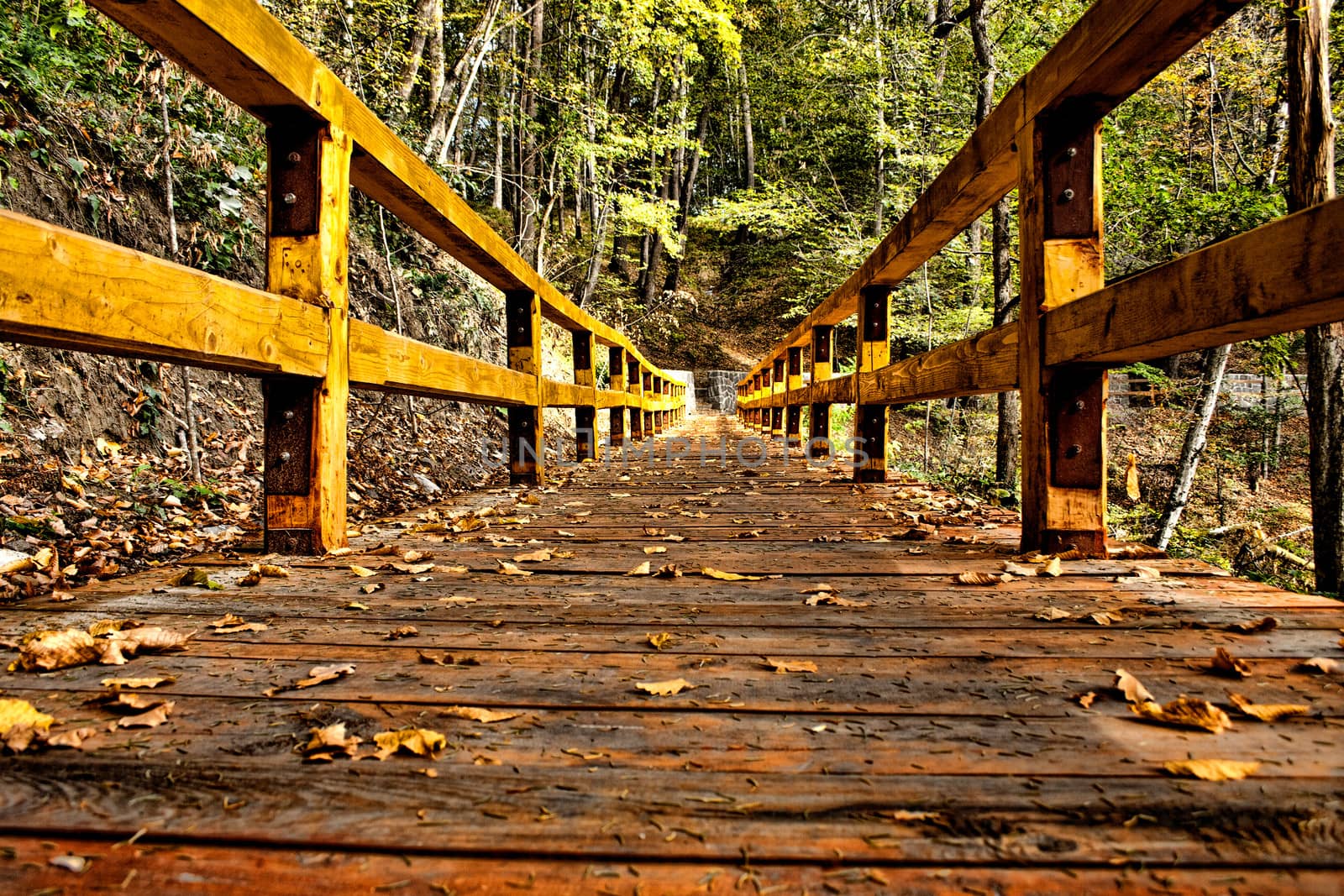 Wooden bridge HDR ending in a beautiful green forest.