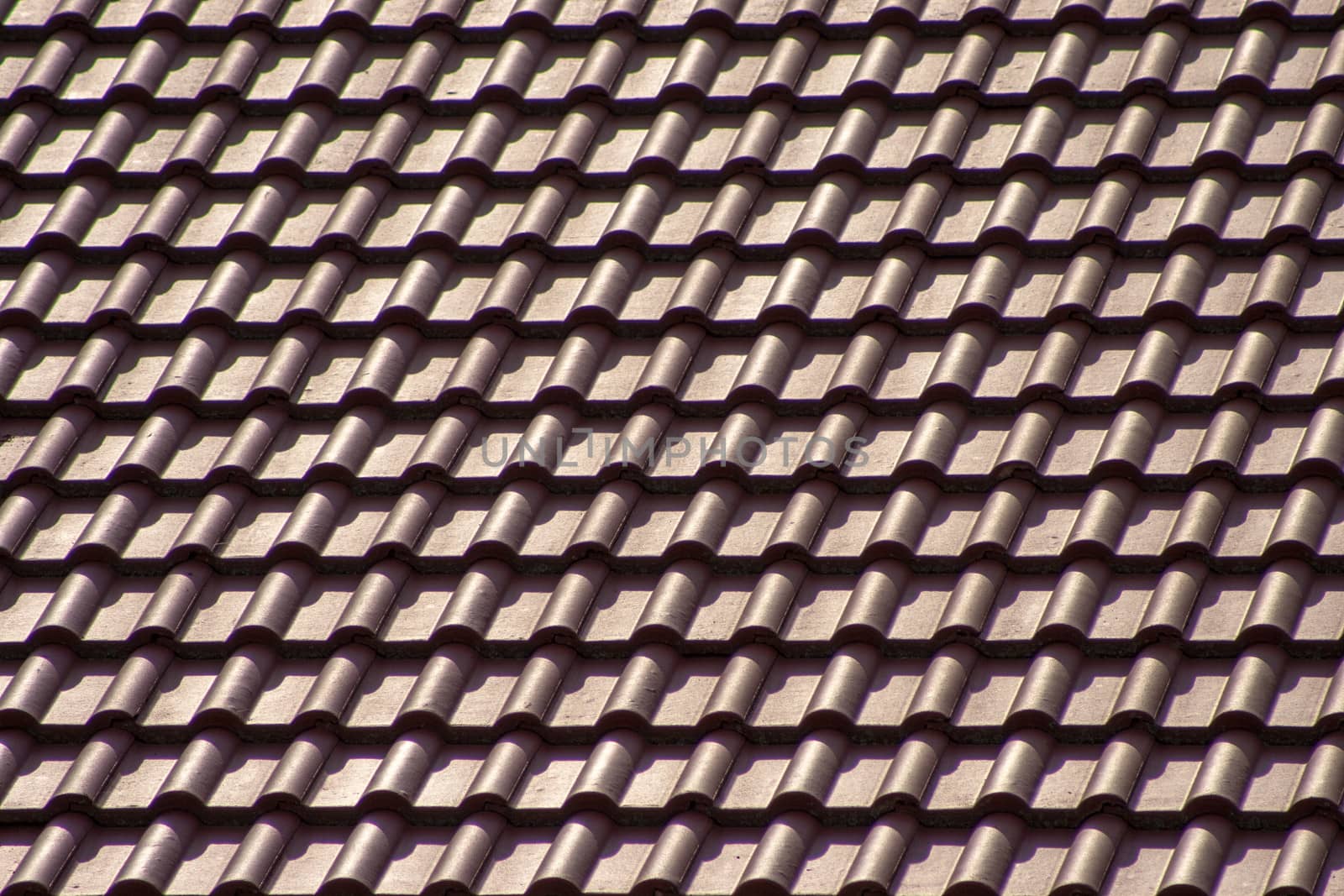 Red tiles of the house's roof.
