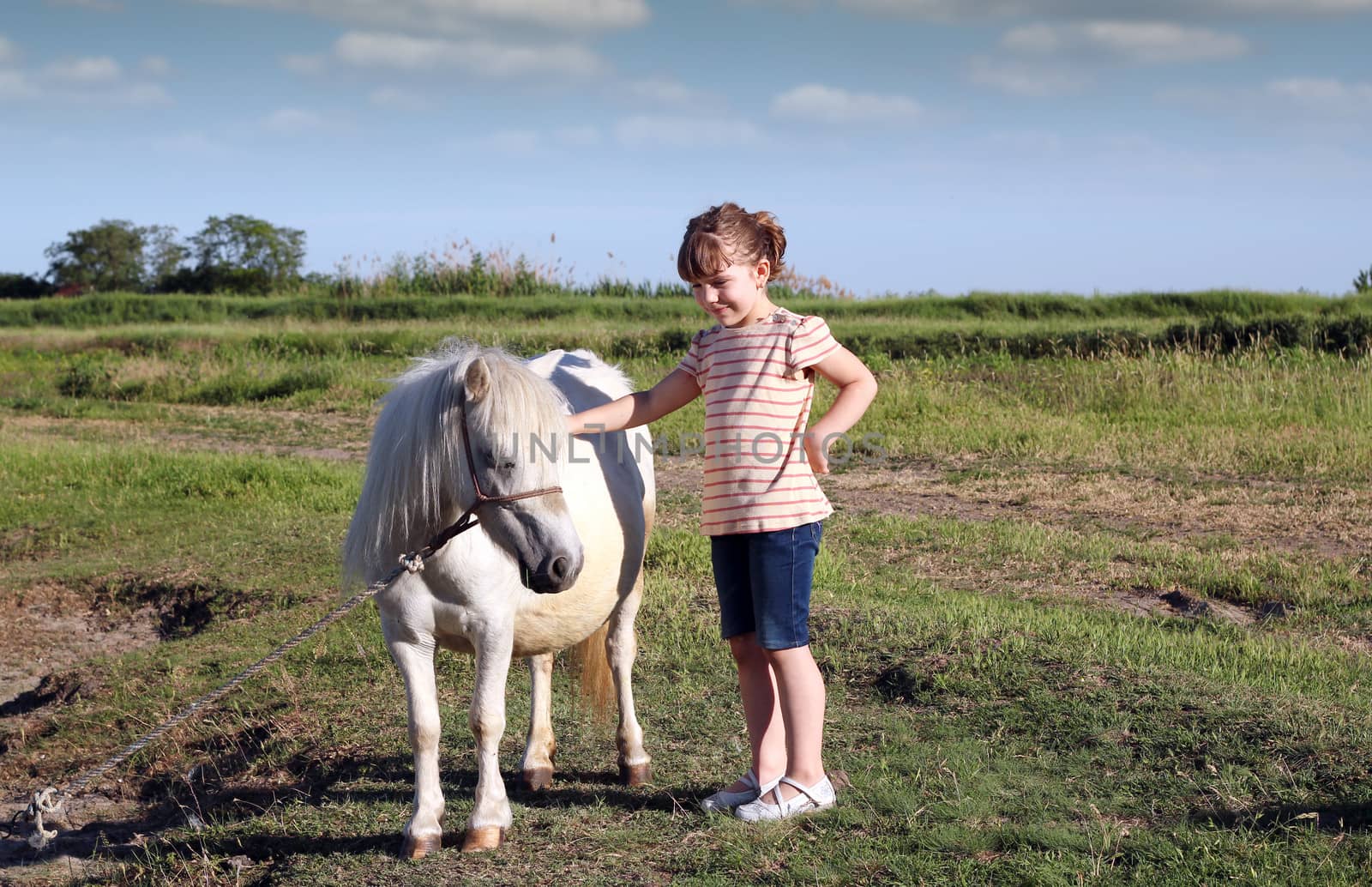 little girl and white pony horse on pasture by goce