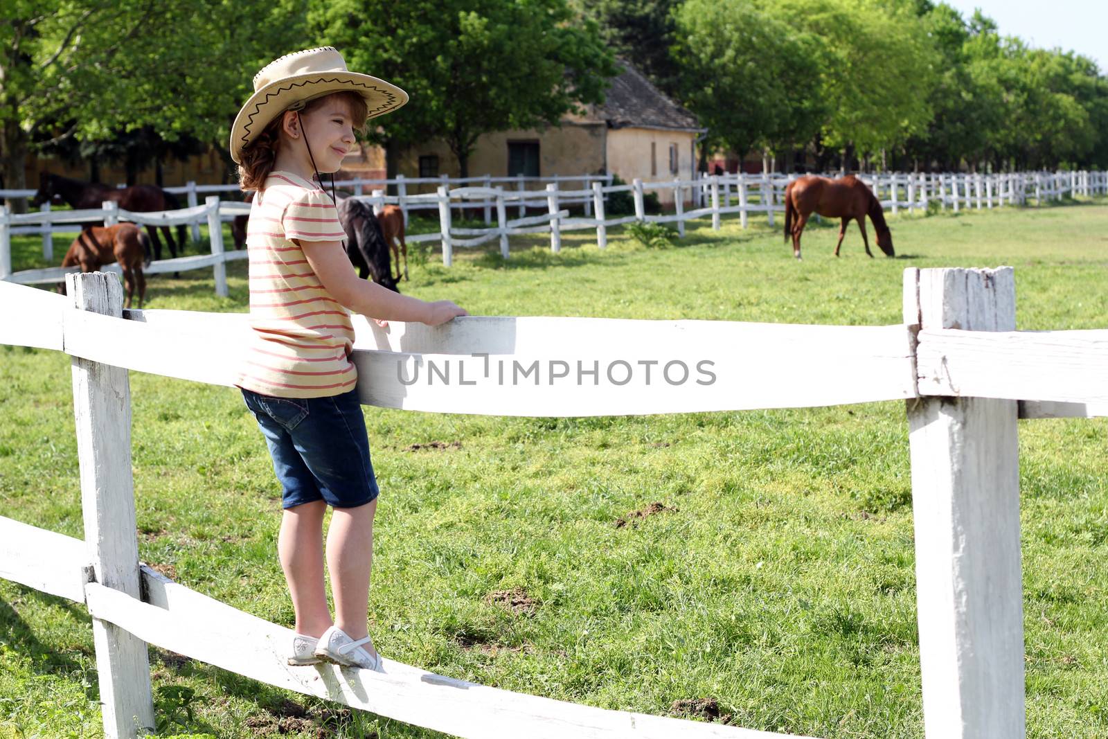 little girl with cowboy hat standing on corral and watching horses