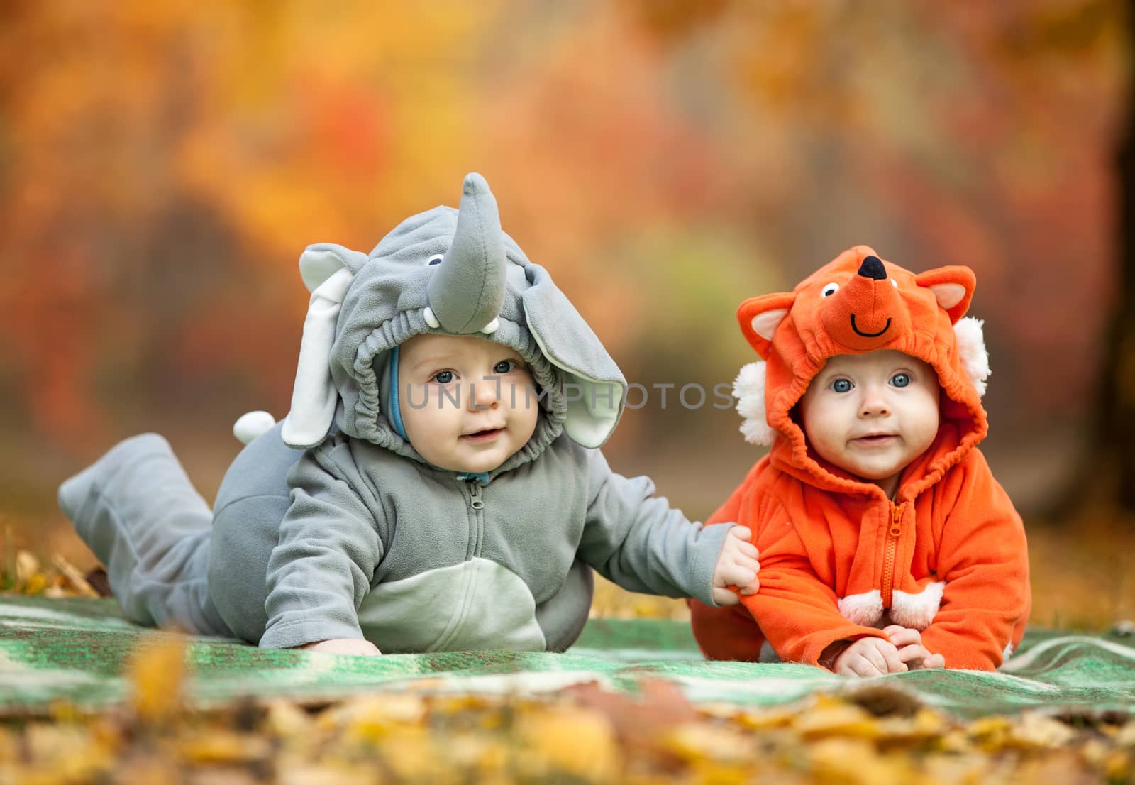 Two baby boys dressed in animal costumes by photobac