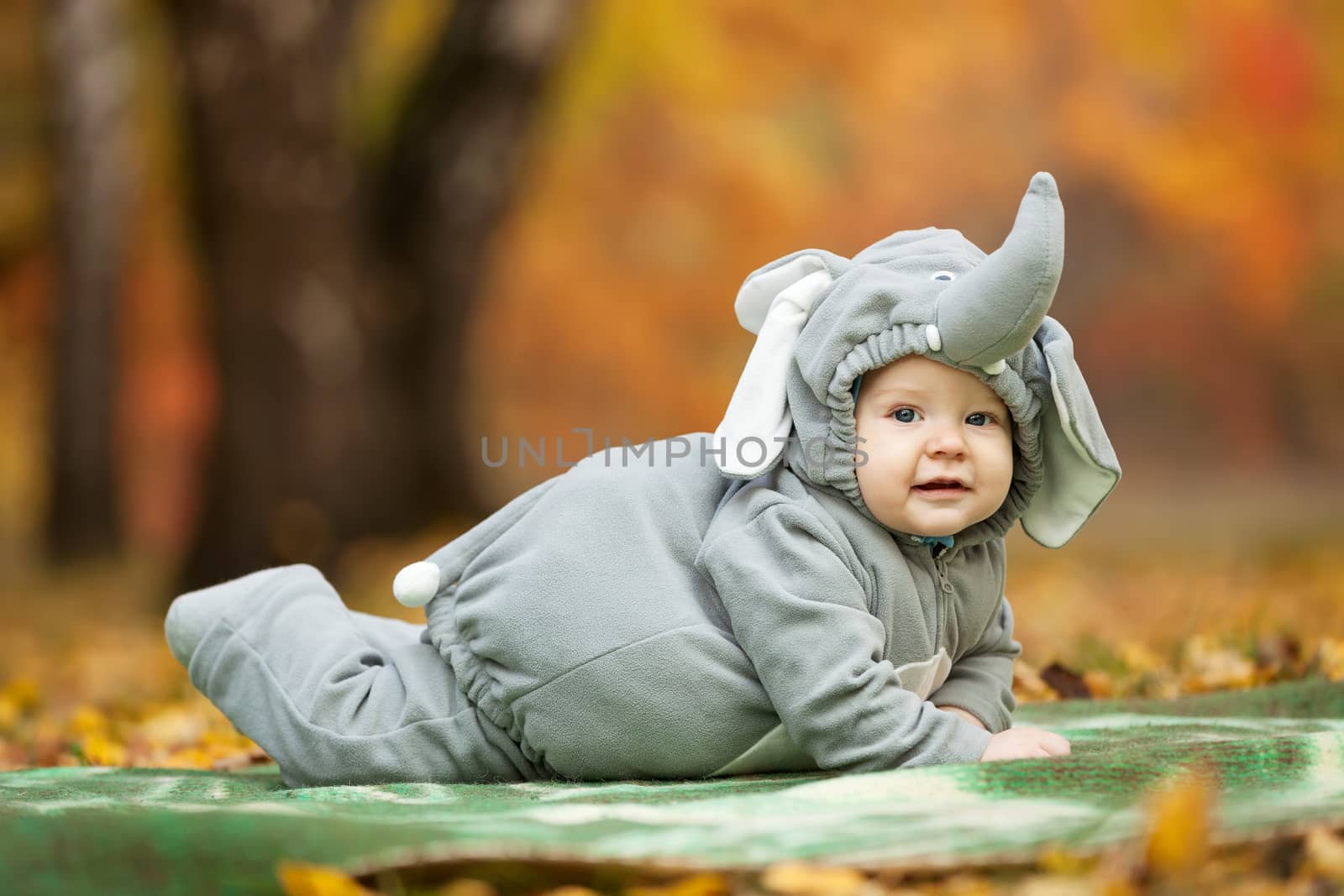 Baby boy dressed in elephant costume in autumn park