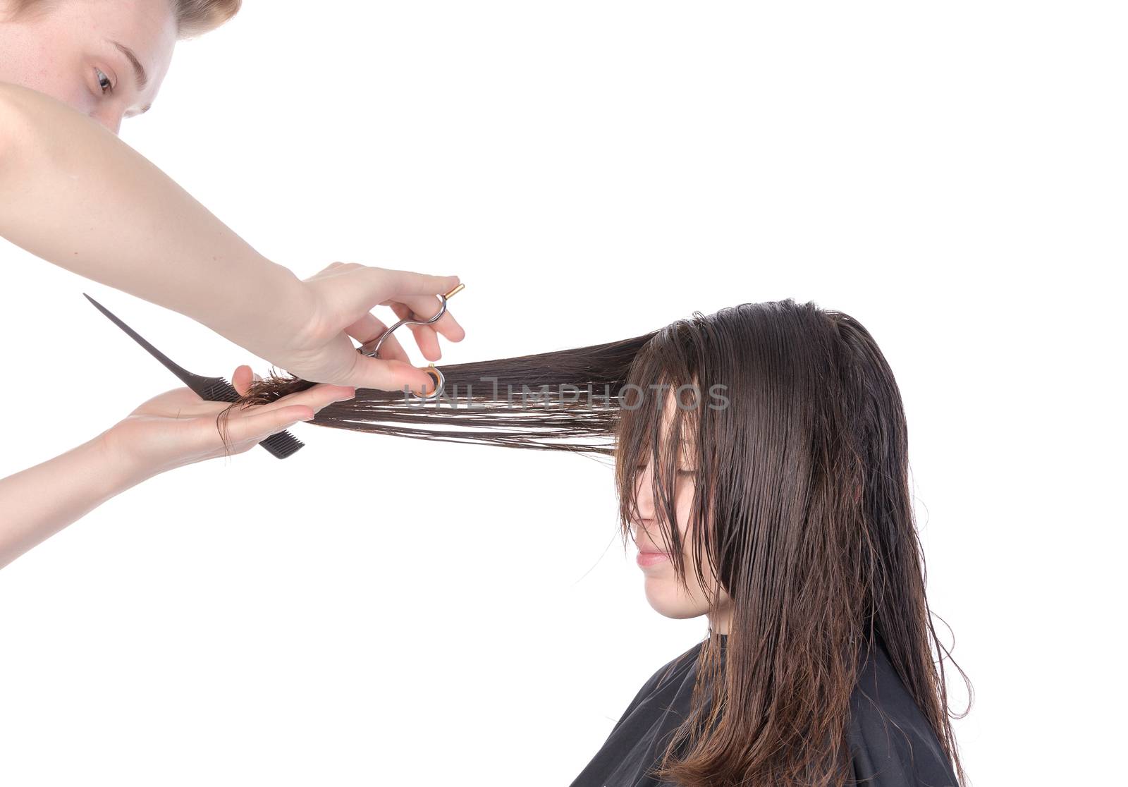 Young woman having a hair cut with a hairdresser trimming her fringe on her long brunette hair, isolated on white