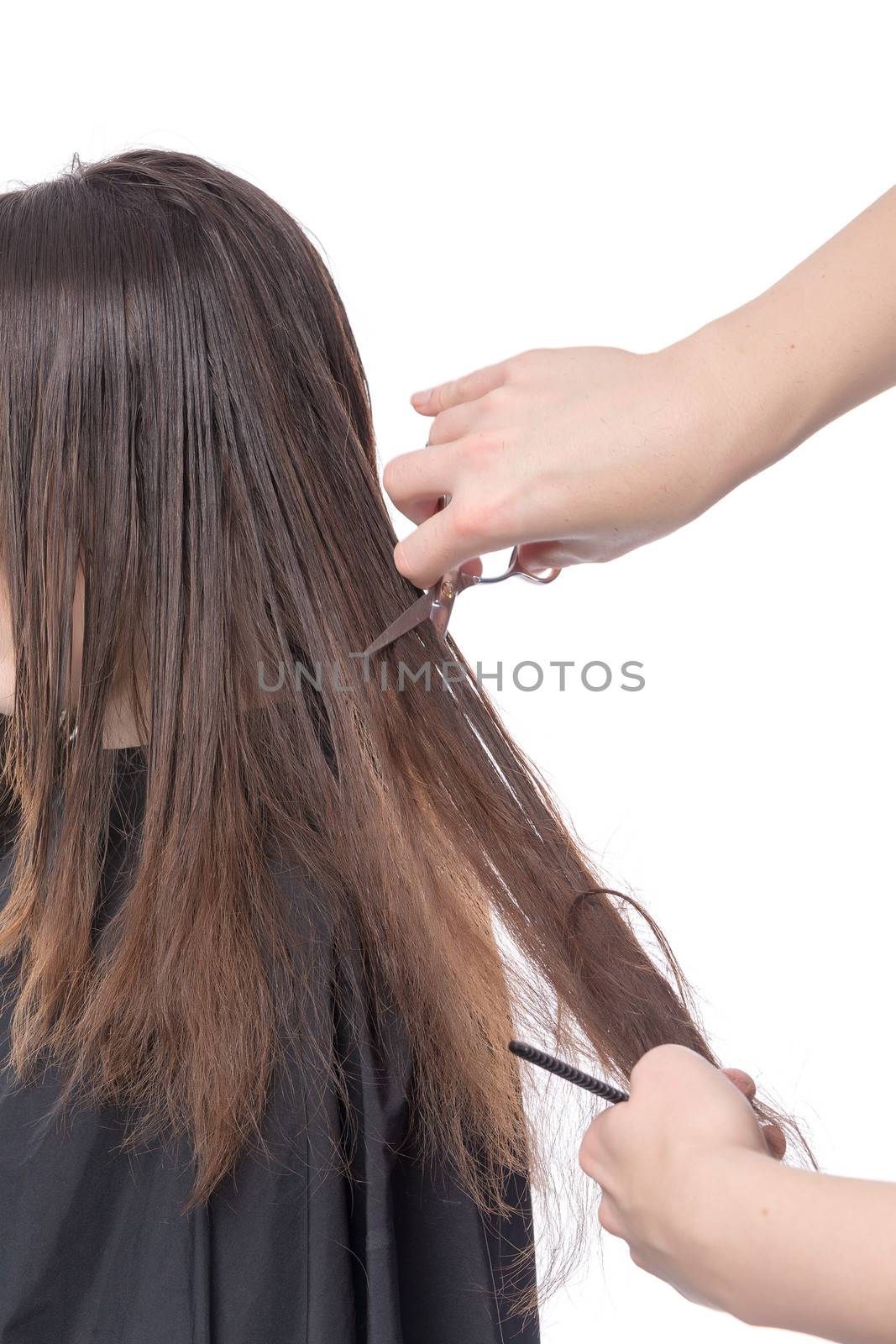 Young woman having a hair cut with a hairdresser trimming her fringe on her long brunette hair, isolated on white