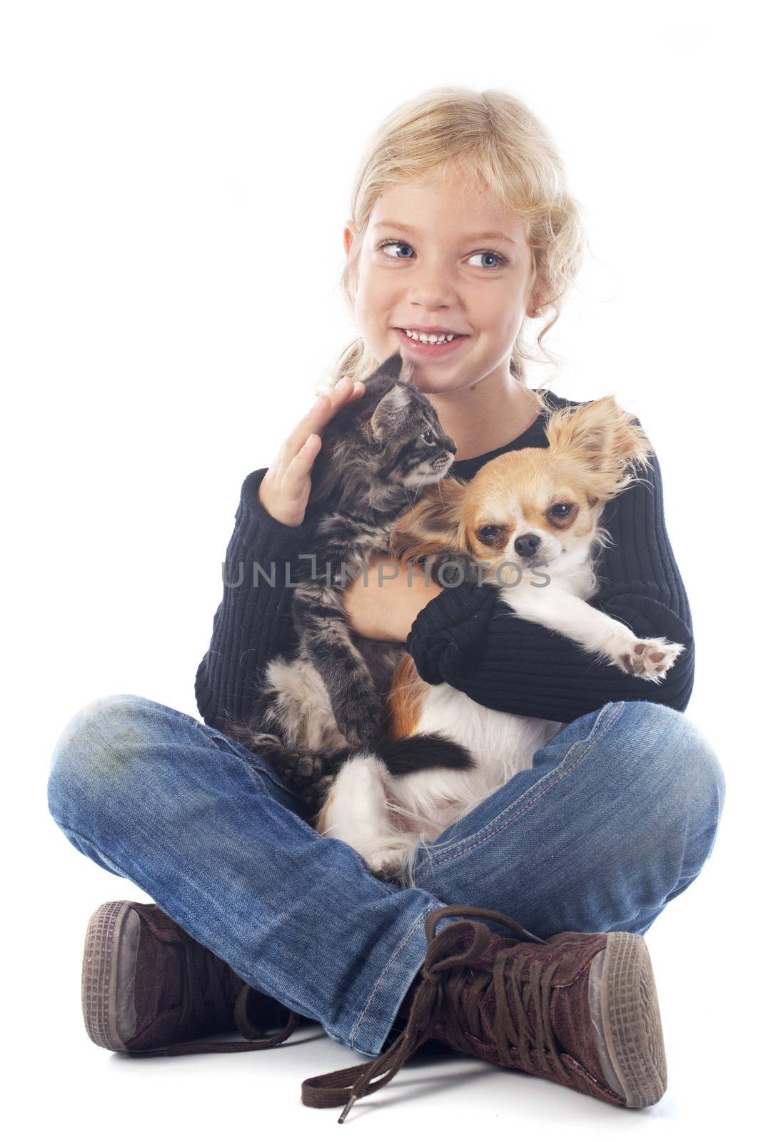 child and chihuahua by cynoclub