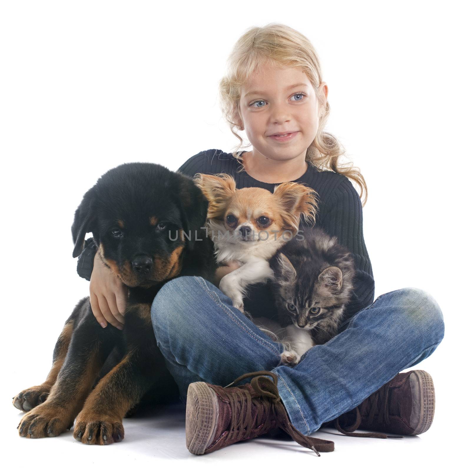 young girl, rottweiler and chihuahua in front of white background