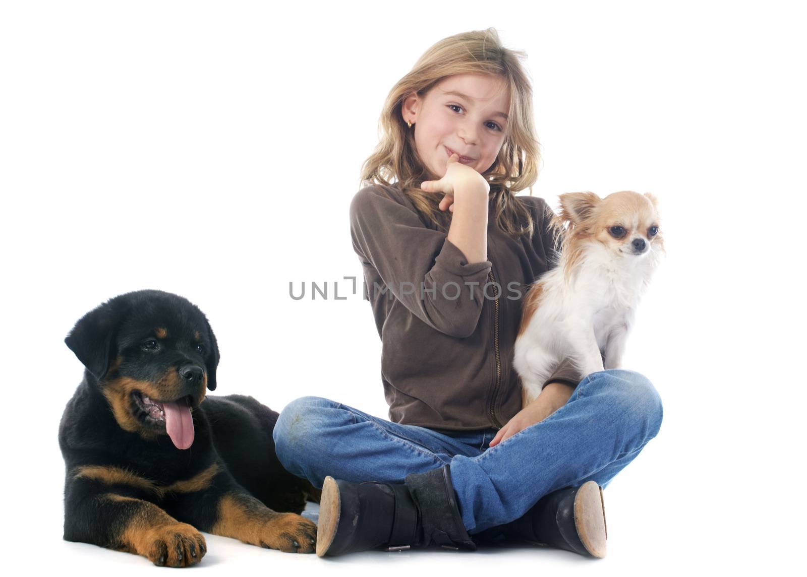 young girl, rottweiler and chihuahua in front of white background