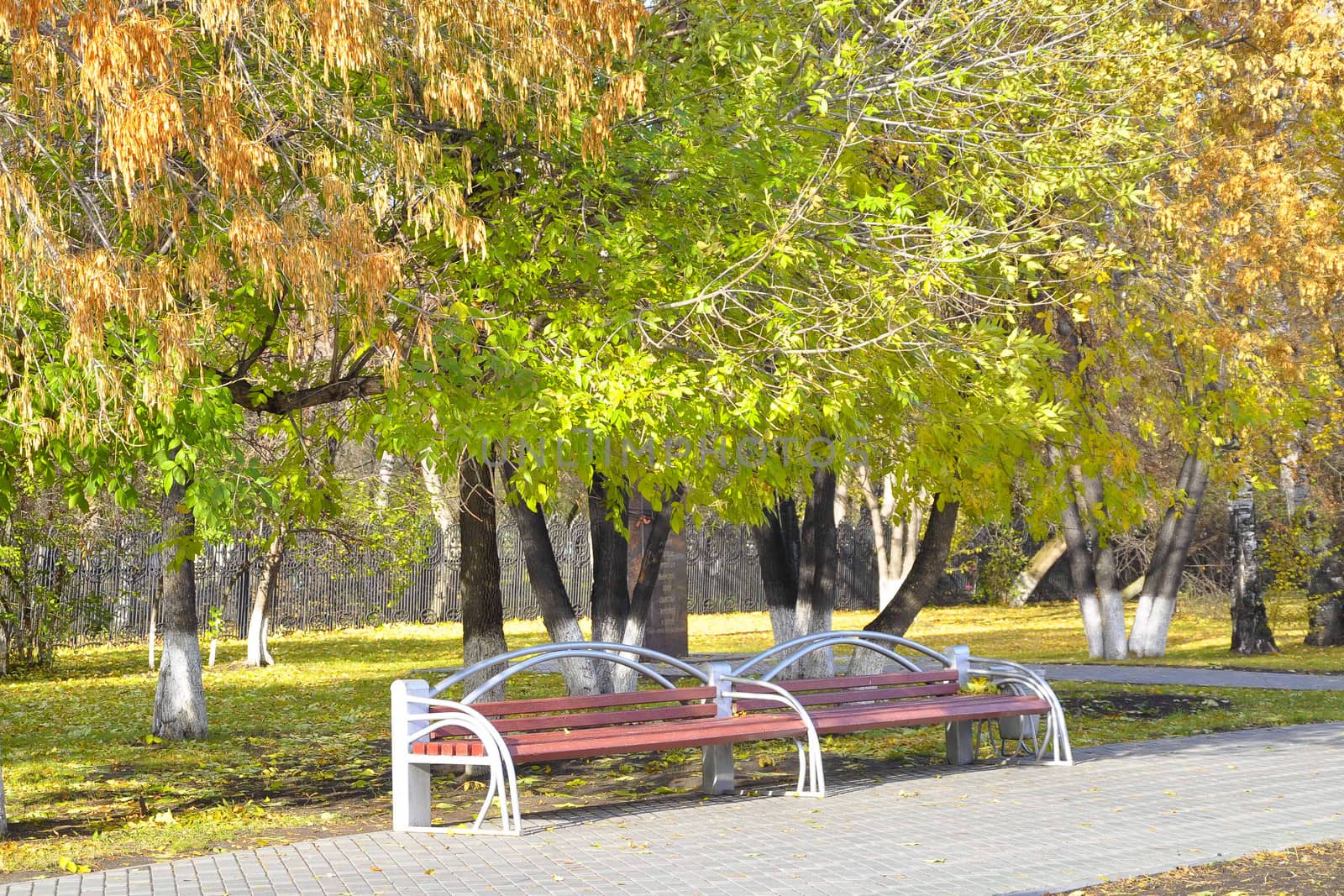 Benches in autumn park.