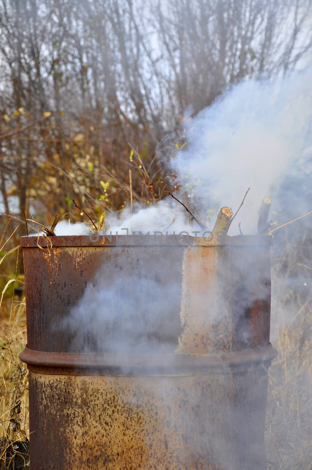 Smoke from a barrel with garbage on a country site