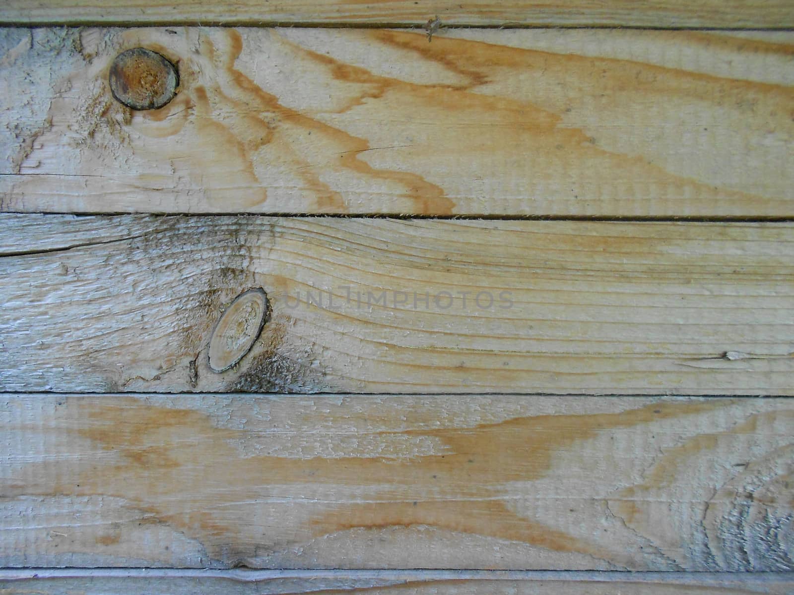 Wood Texture by xizang