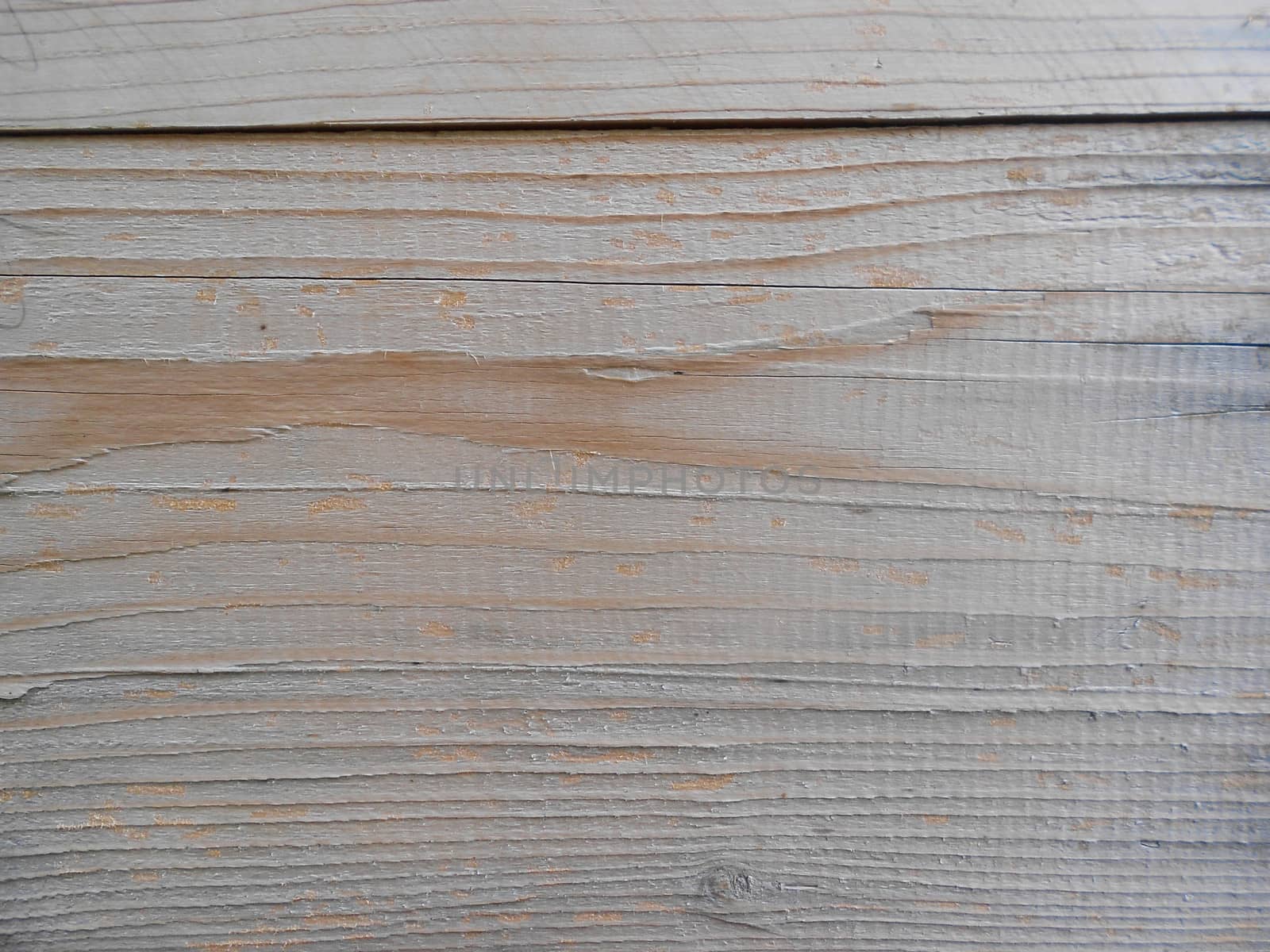 Wood Texture background