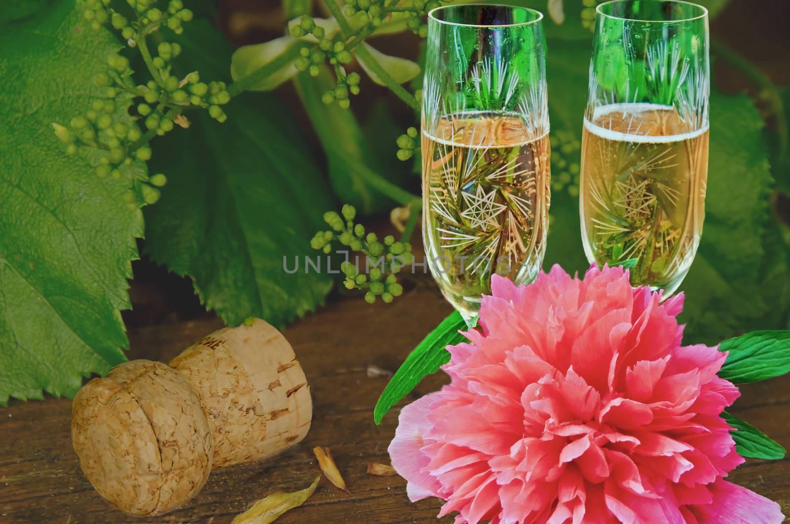Two glass with pink champagne, a pink peony and a champagne cork on a deck