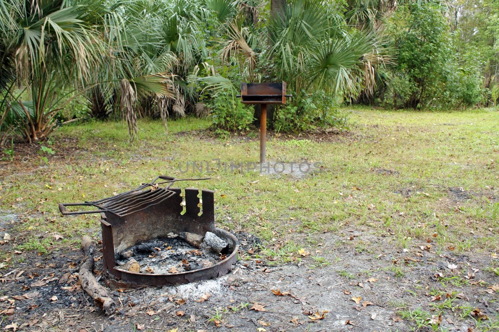 A rusty fire pit with ashes, and a rusty BBQ stand, in a remote tropical camp site.