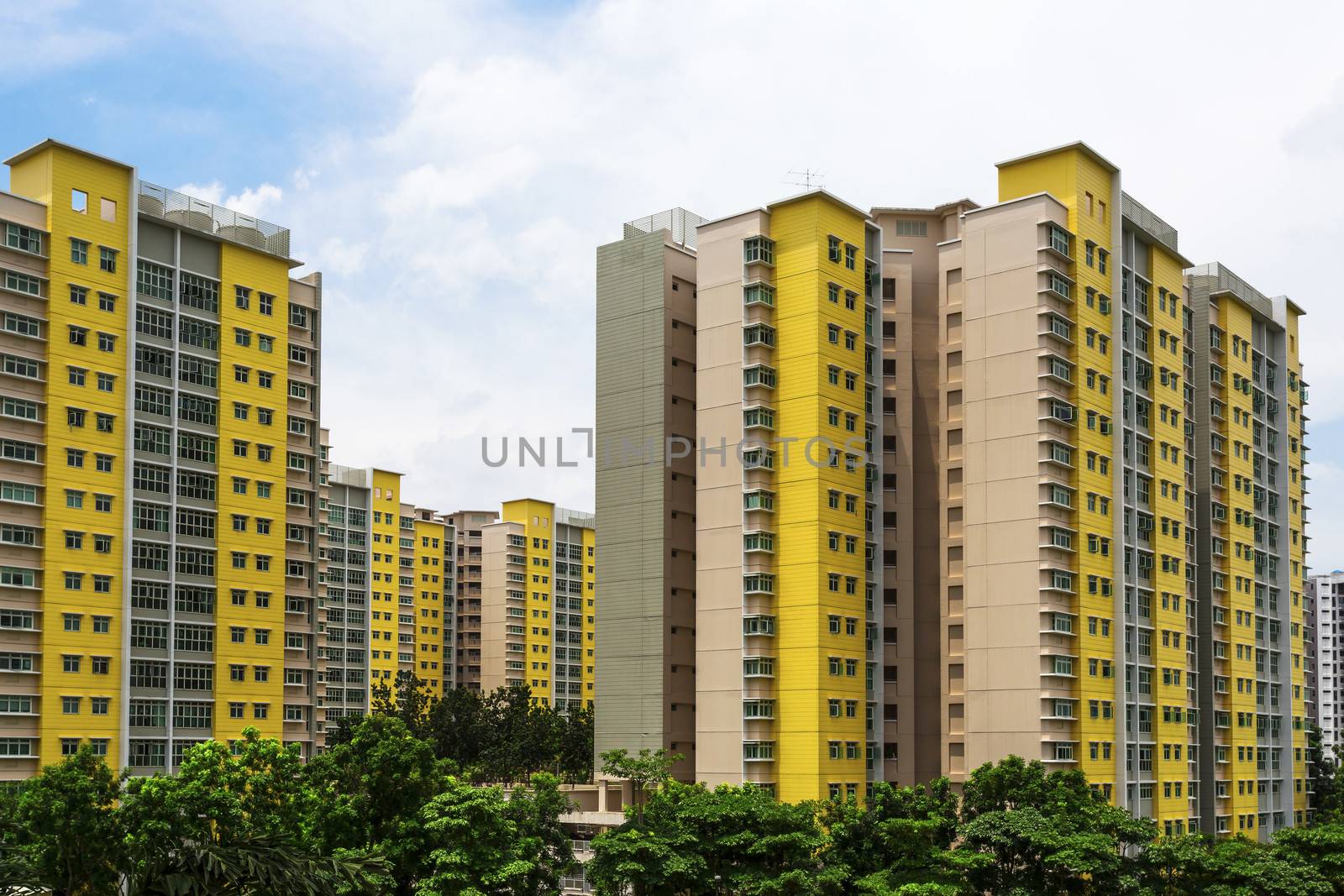 A new colorful neighborhood estate among domestic garden in Singapore